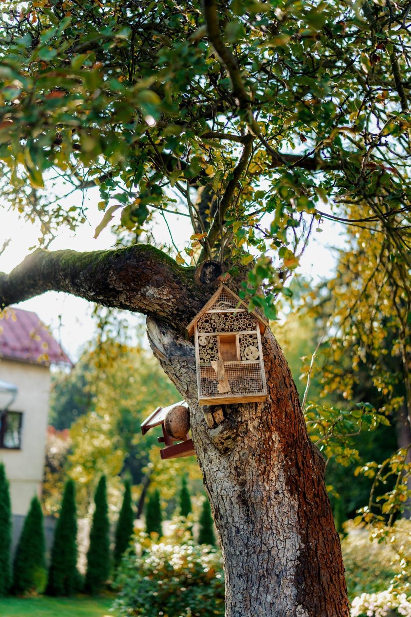 Zakatek U Hani Polanica-Zdrój Exterior foto